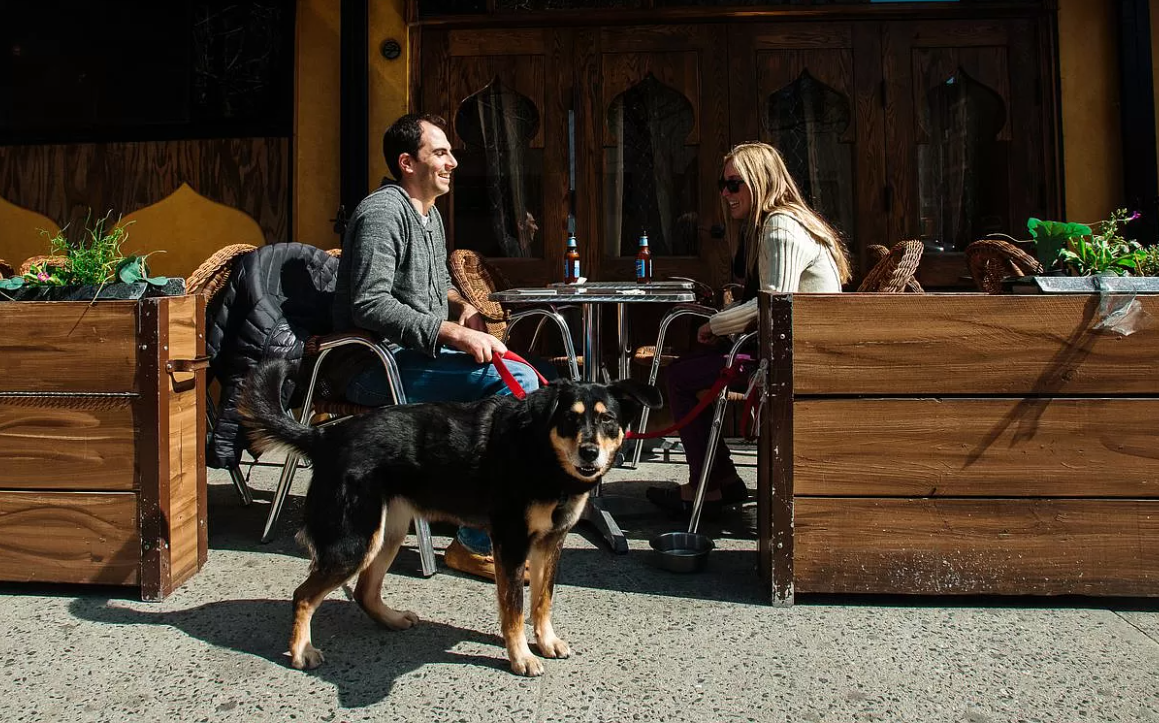 206 East 7th Street, Unit 5 Manhattan, NY 10009 - Photo 8 of 8