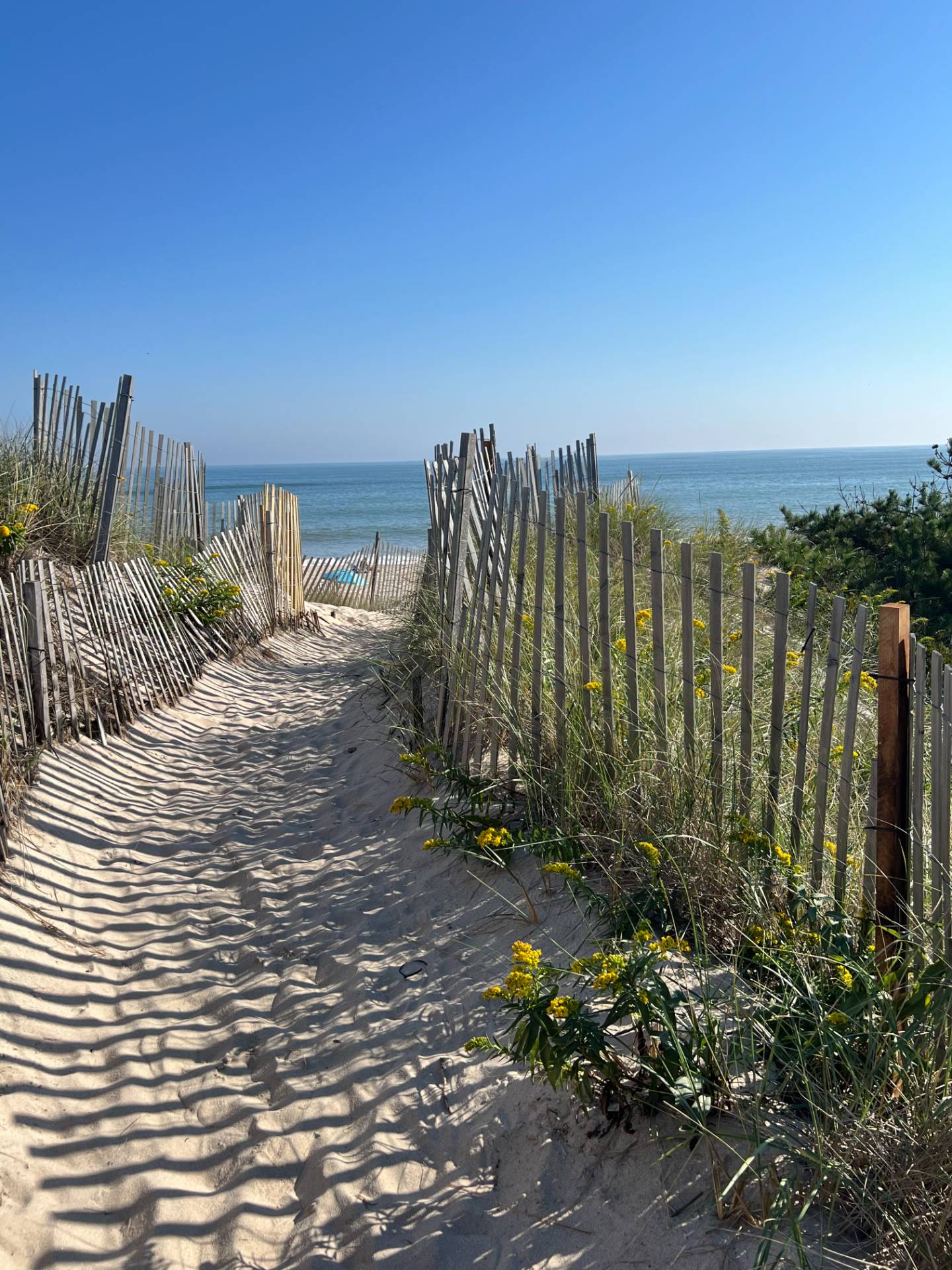 89 Cobb Road Water Mill, NY 11976 - Photo 41 of 48