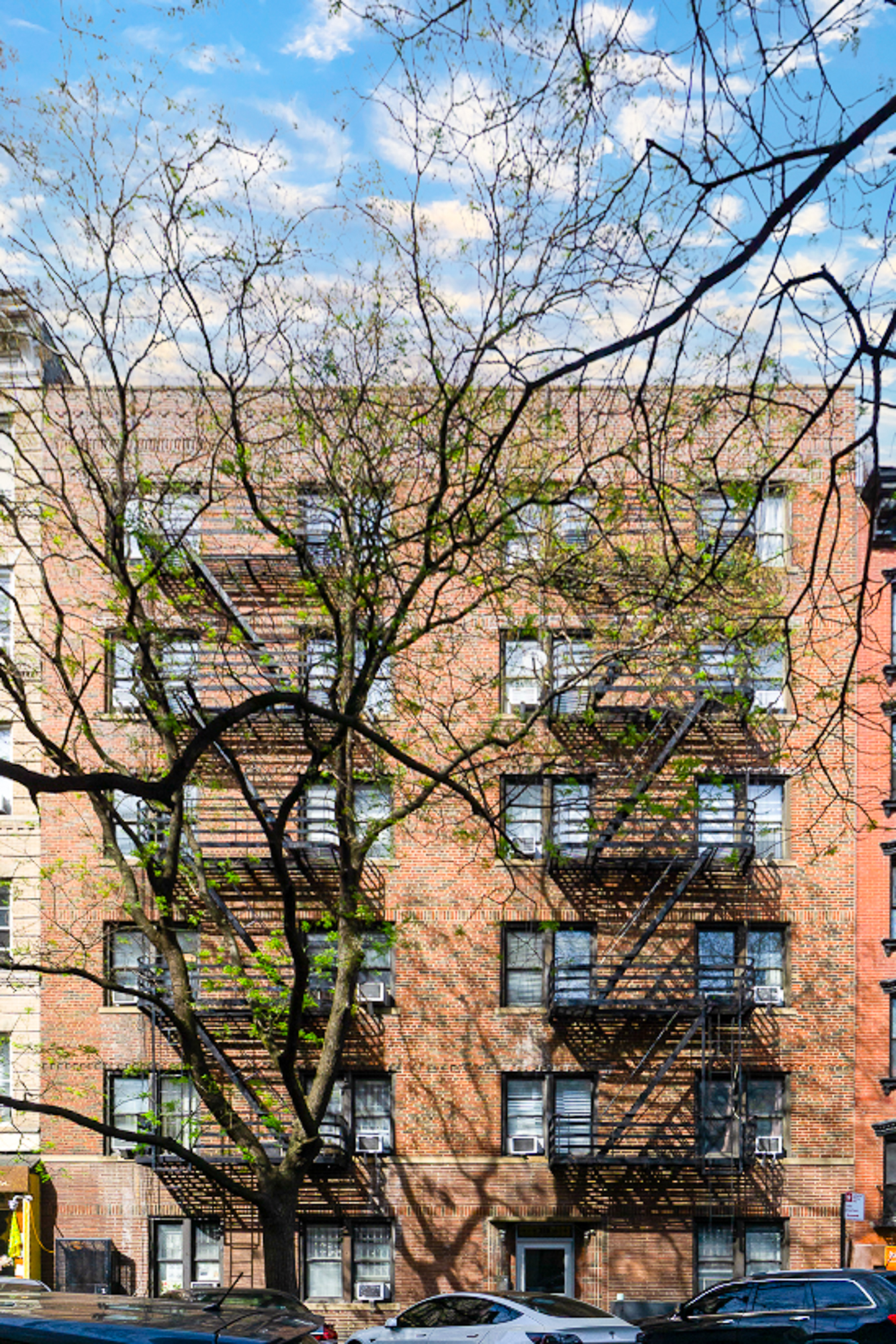 315 East 5th Street, Unit 5E Manhattan, NY 10003 - Photo 7 of 11 a picture of tree