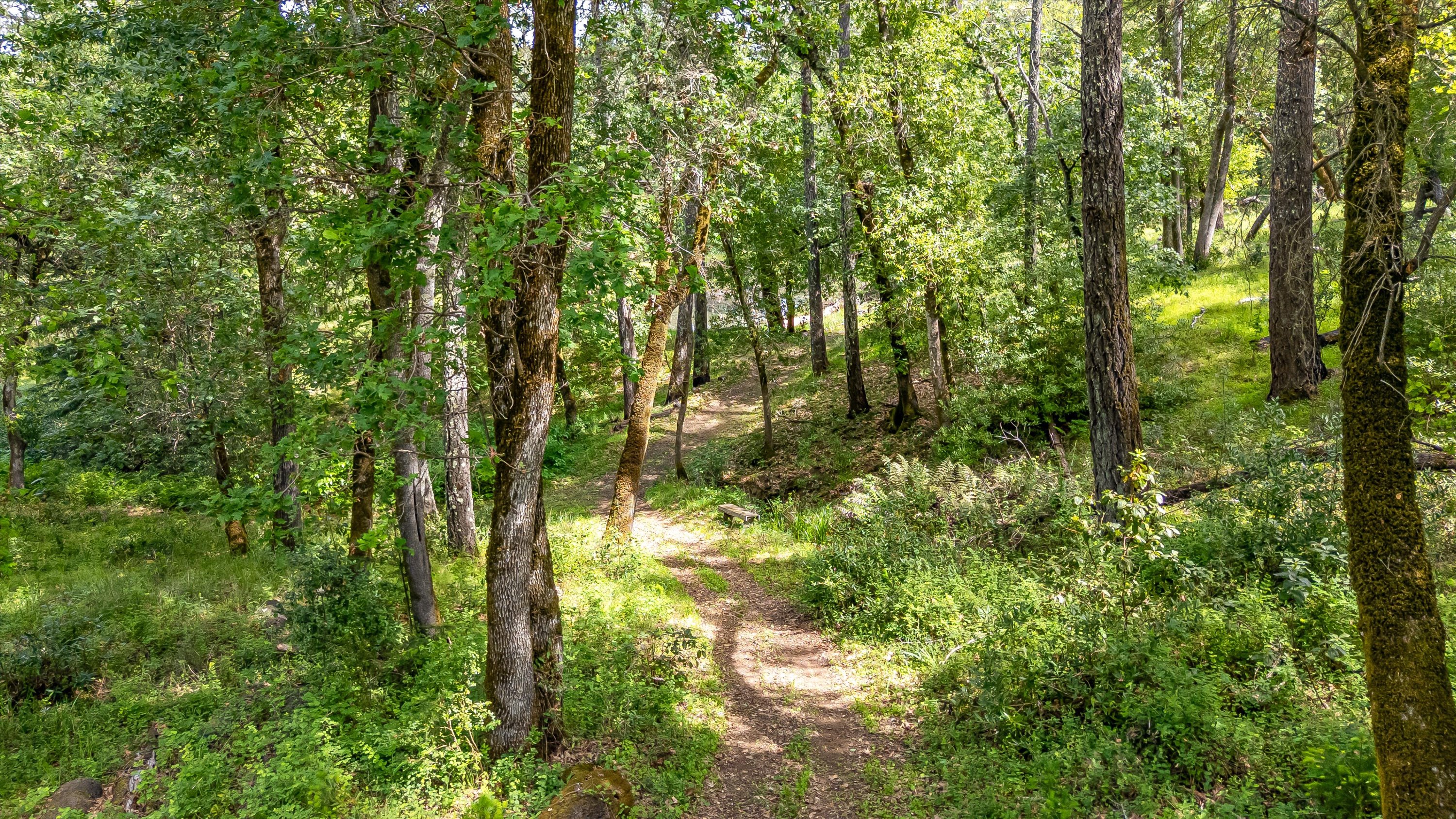 6435 Dry Creek Road Napa, CA 94558 - Photo 23 of 34