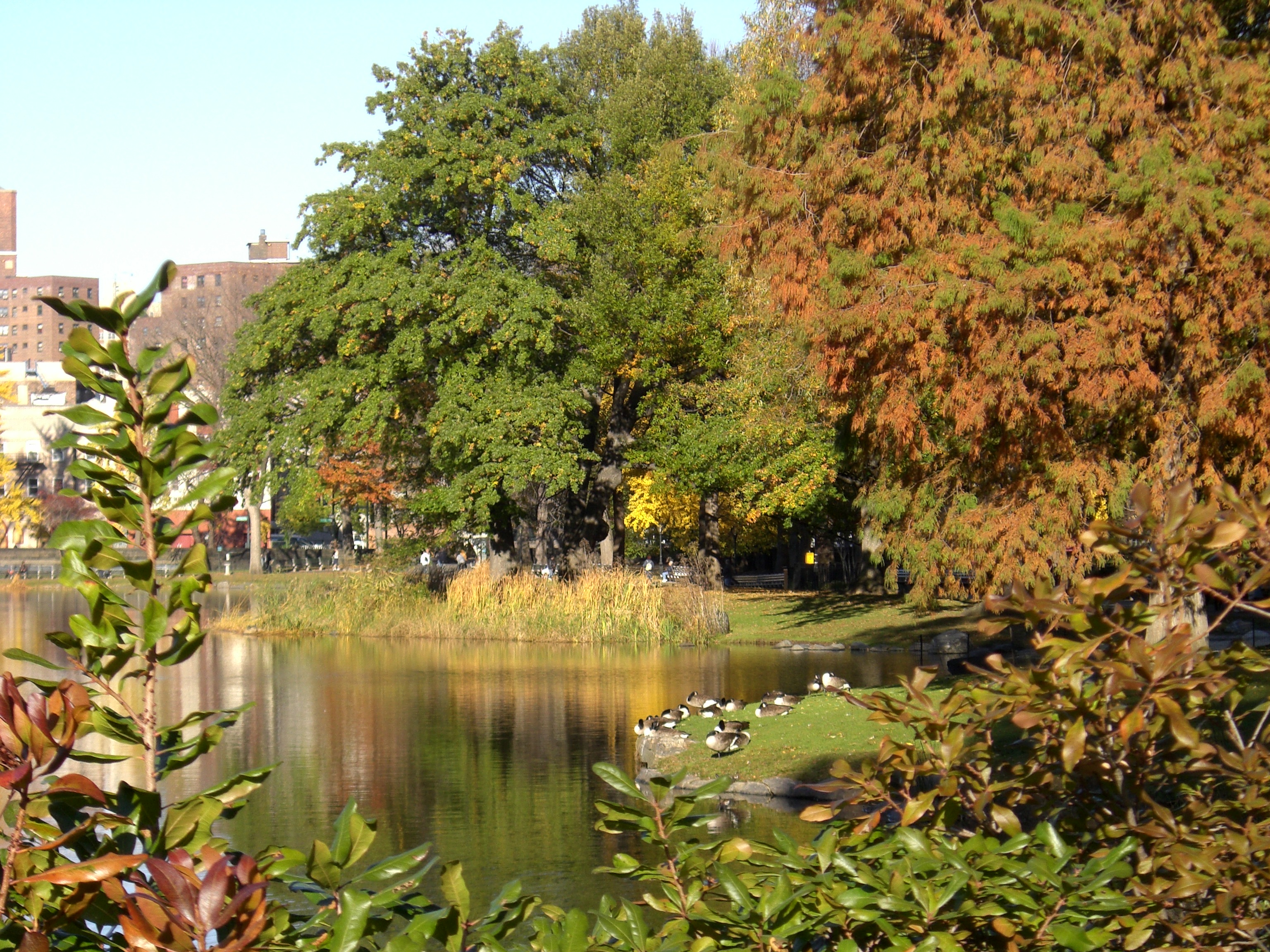 1255 5th Avenue, Unit 6D Manhattan, NY 10029 - Photo 12 of 15 a view of lake with green space