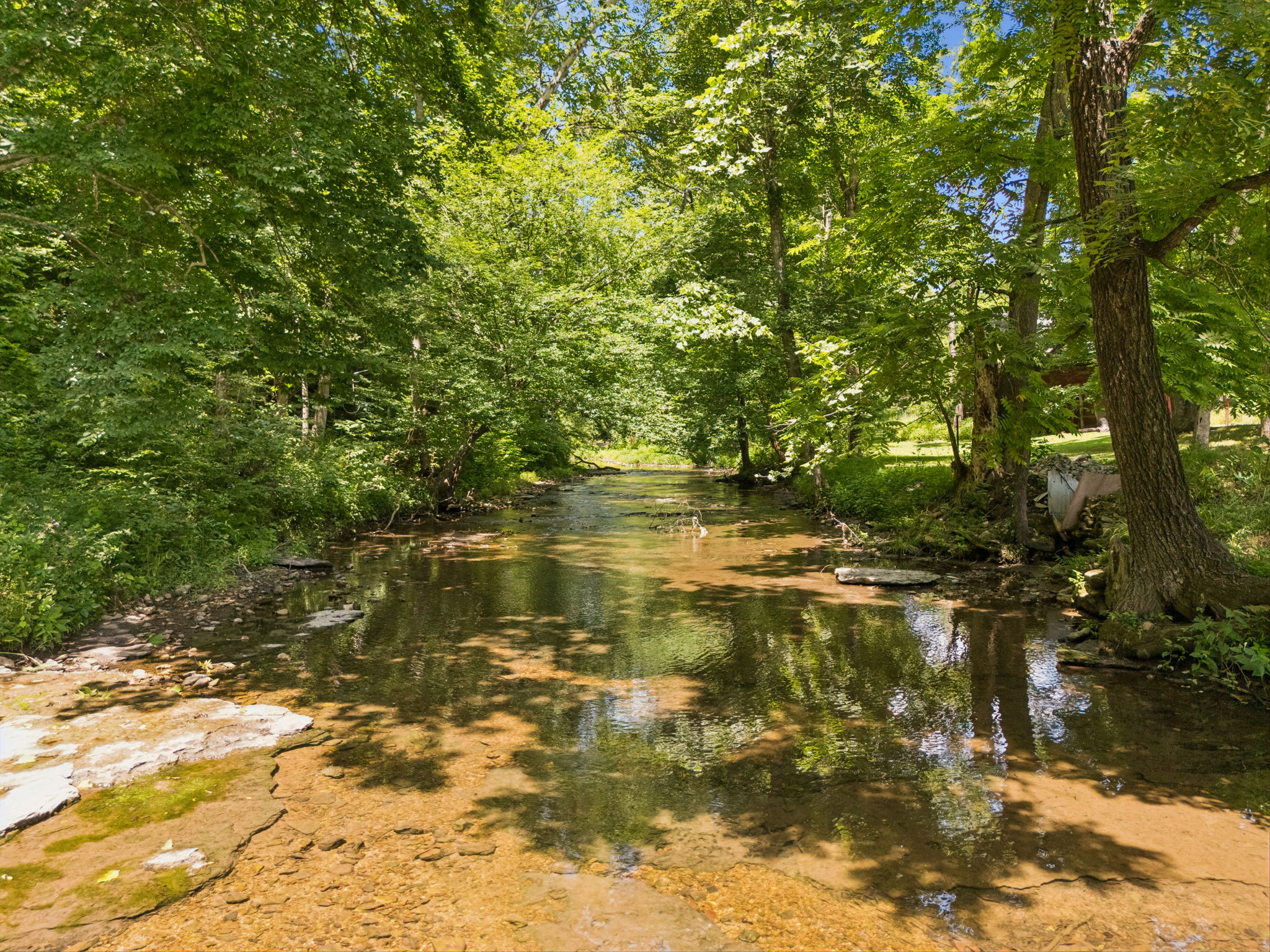 8188 Shoals Branch Road Primm Springs, TN 38476 - Photo 57 of 66
