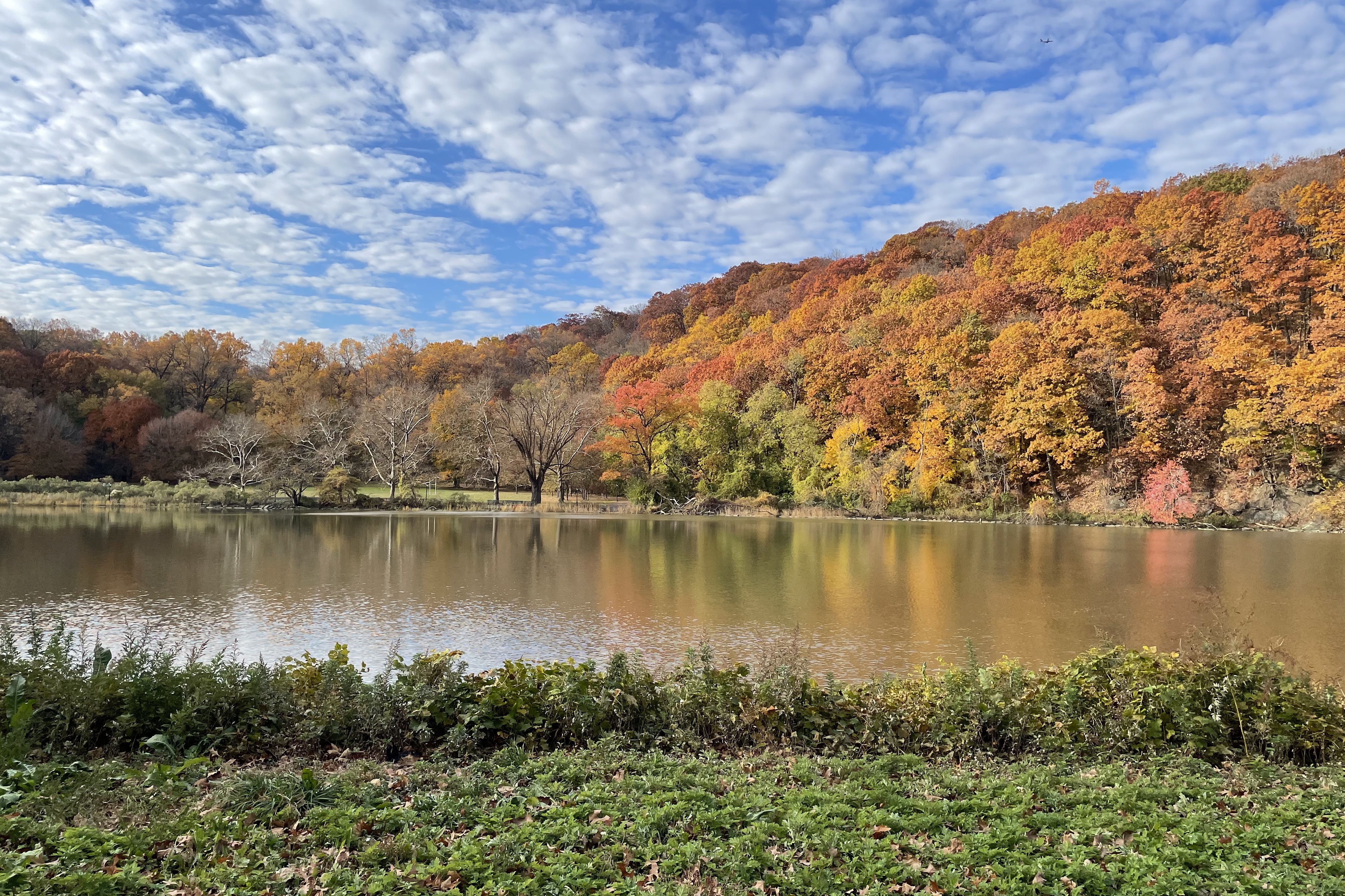 57 Park Terrace East, Unit B75 Manhattan, NY 10034 - Photo 17 of 18 a view of a large body of water surrounded by mountain