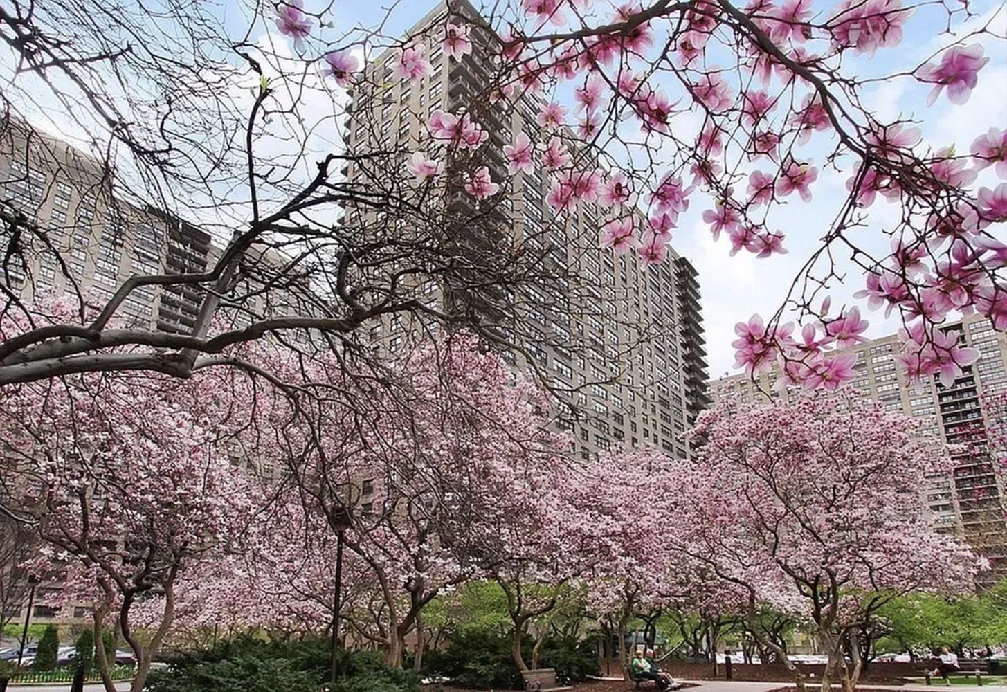 150 West End Avenue, Unit 16H Manhattan, NY 10023 - Photo 9 of 13 a backyard of a house with lots of green space