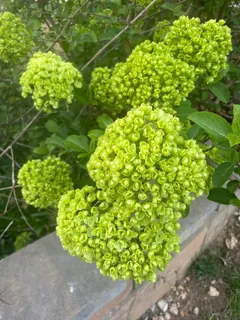 $949,000 | 4117 Worley Drive, Raleigh, NC 27613