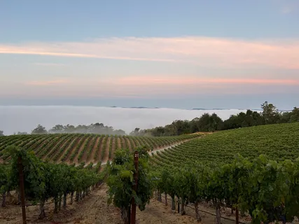 $1,795,000 | 31920 Pine Mountain Road, Cloverdale, CA 95425