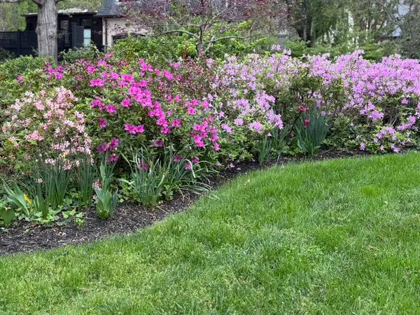 a view of a garden with flowers and flowers