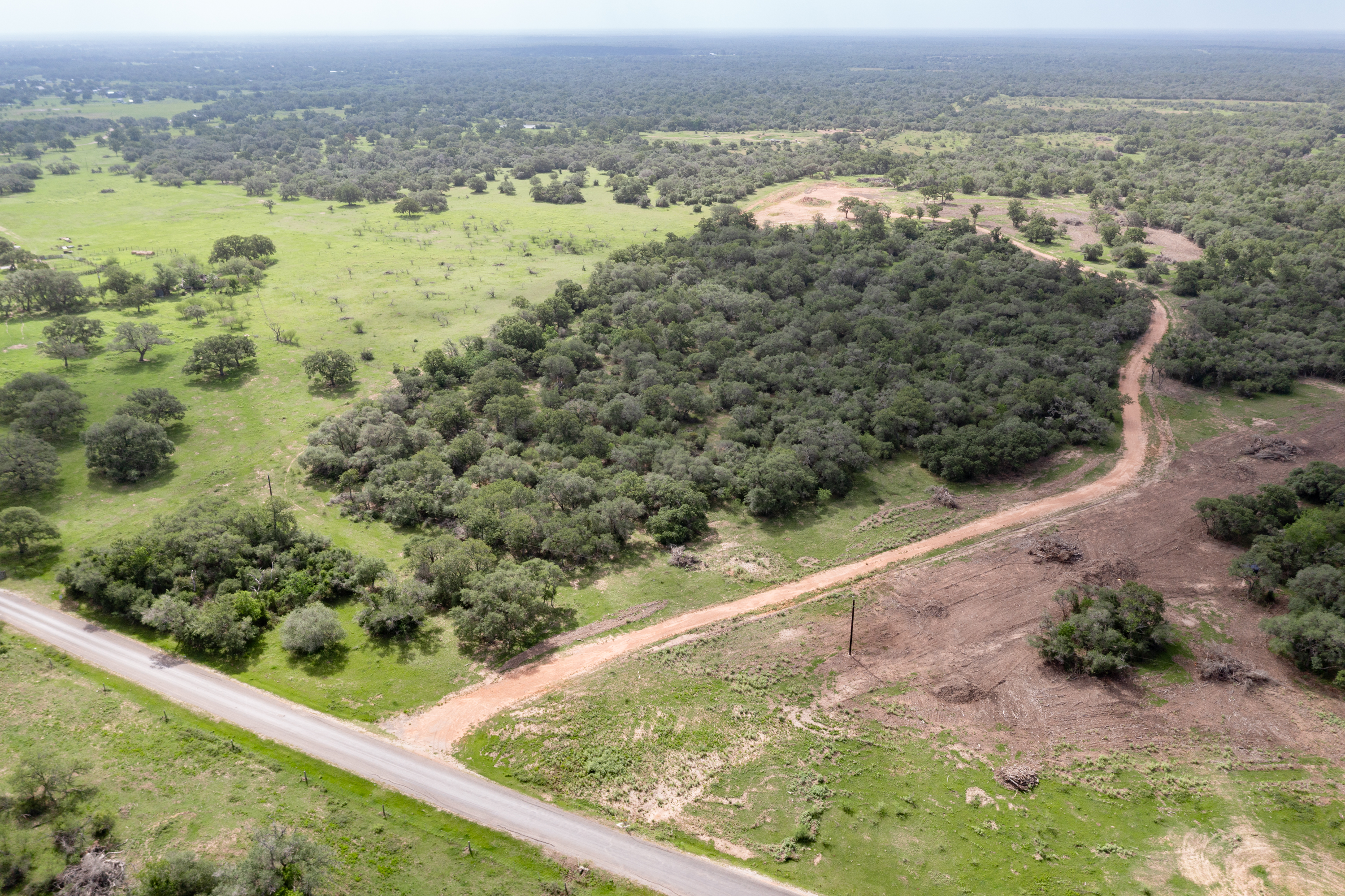54.68 Cattle Guard Road Cuero, TX 77954 - Photo 11 of 67 a view of a forest from a yard