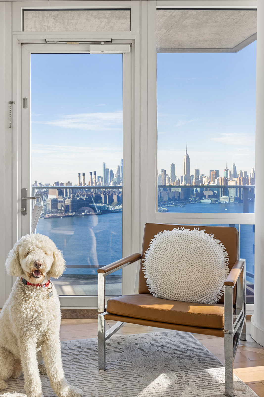 22 North 6th Street, Unit 27D Brooklyn, NY 11249 - Photo 4 of 17