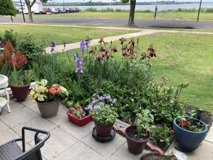 a view of a garden with lots of potted plants