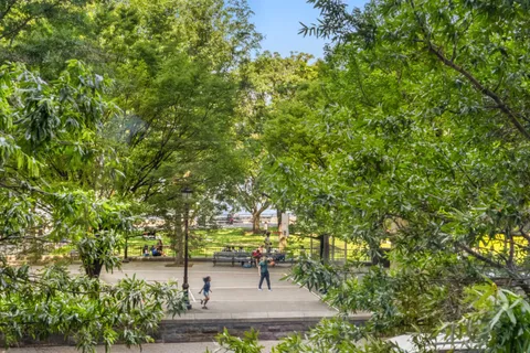 a view of a yard with plants