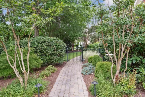 a view of a backyard with potted plants and large trees