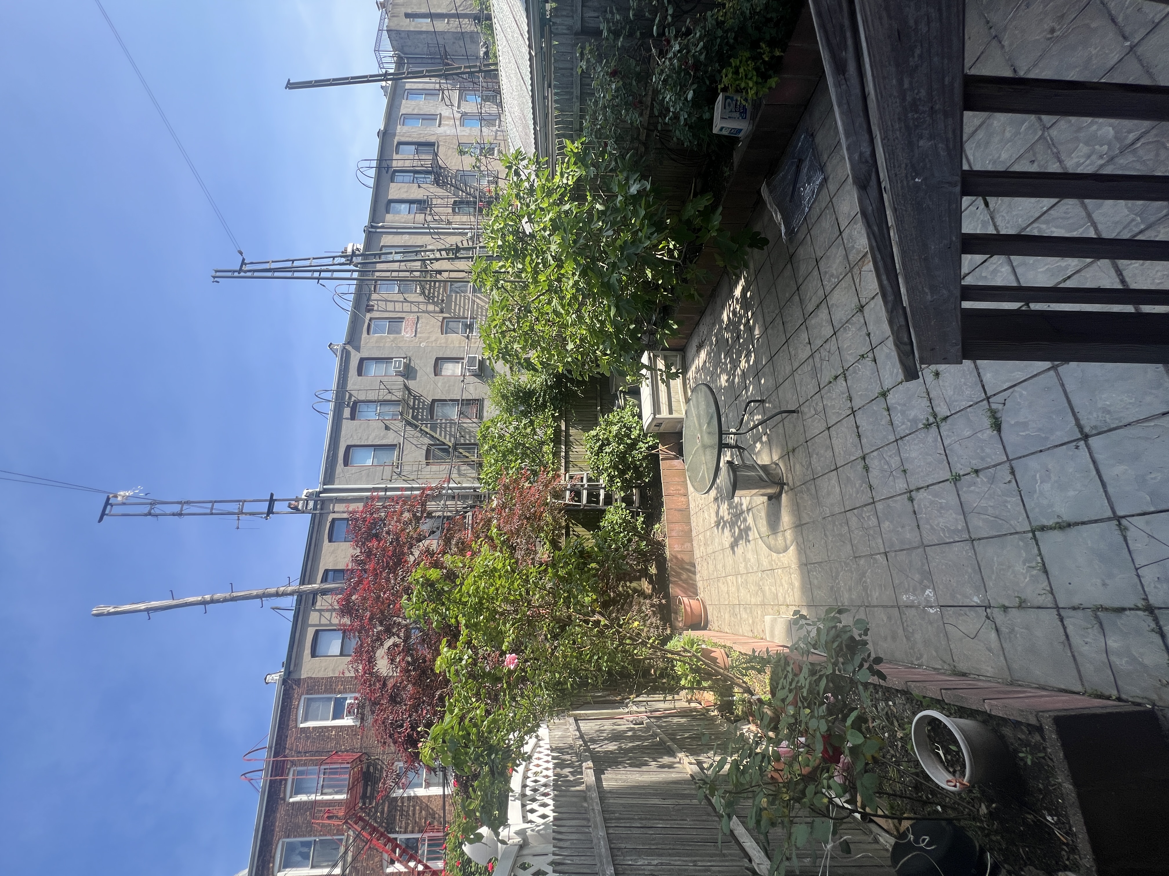 17-22 Menahan Street, Unit 1 Queens, NY 11385 - Photo 8 of 9 a view of a chairs and tables in the patio