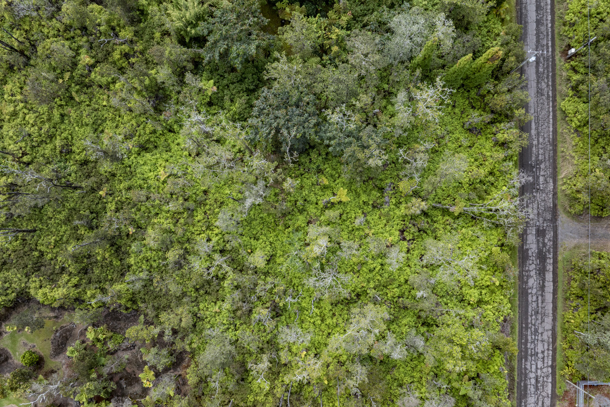 Anuhea Street Volcano, HI 96785 - Photo 13 of 22 a view of a forest