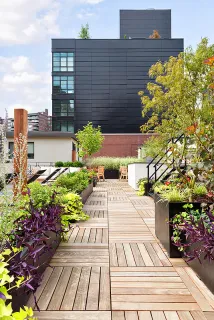 a view of a pathway with flower plants