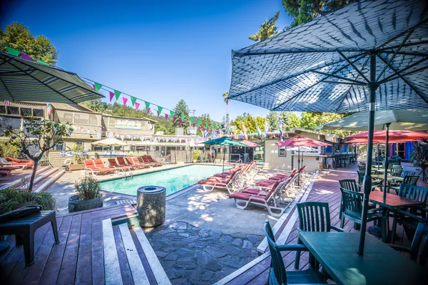 a wooden floor with some trees in the background