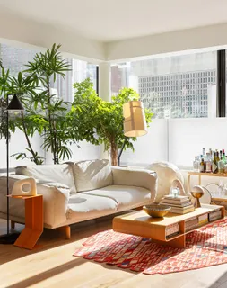 a living room with furniture and a potted plant