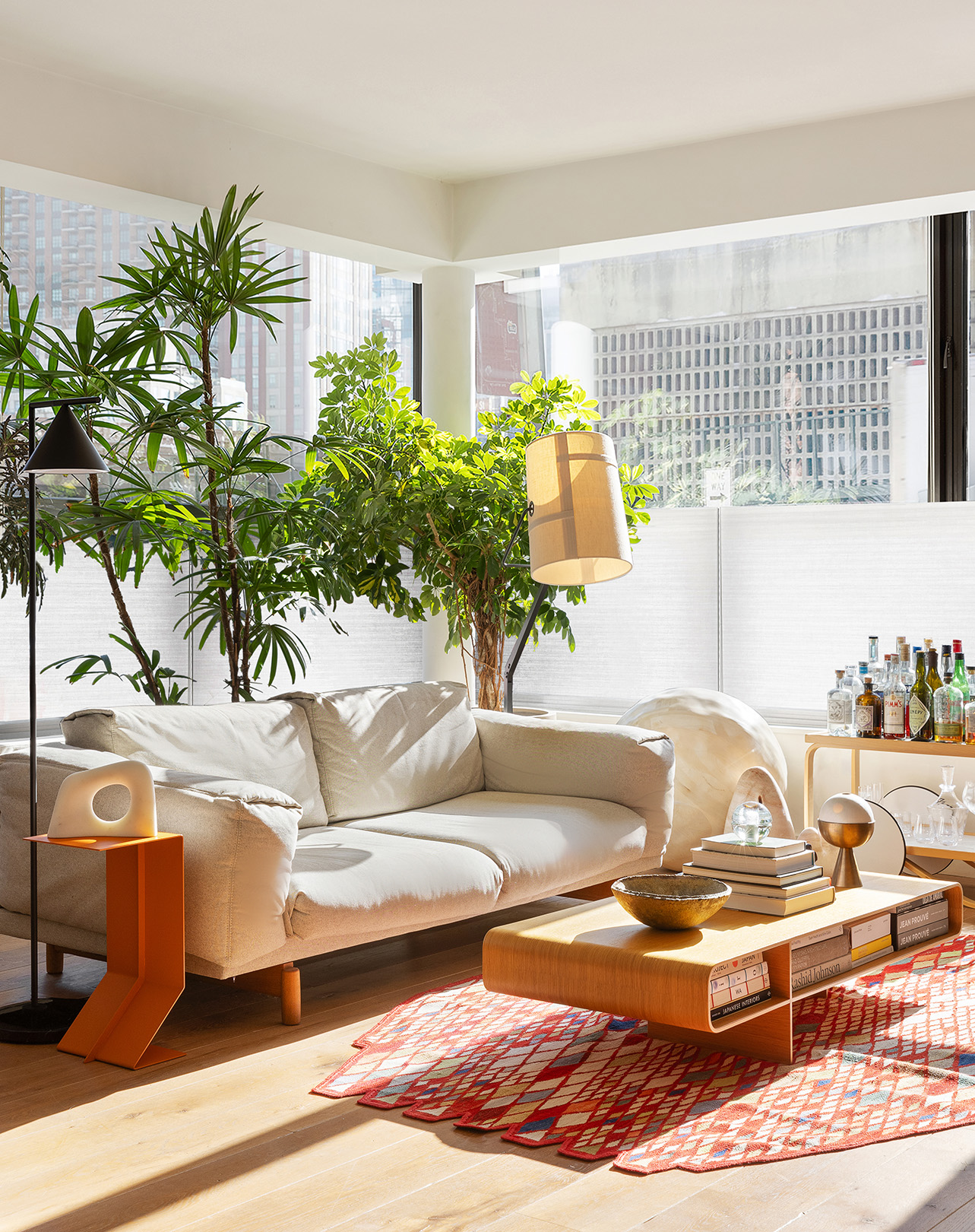 20 Henry Street, Unit 1BN Brooklyn, NY 11201 - Photo 3 of 15 a living room with furniture and a potted plant