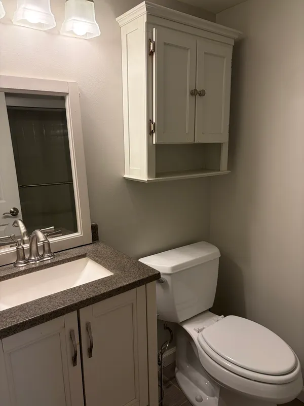 a bathroom with a sink a toilet and mirror