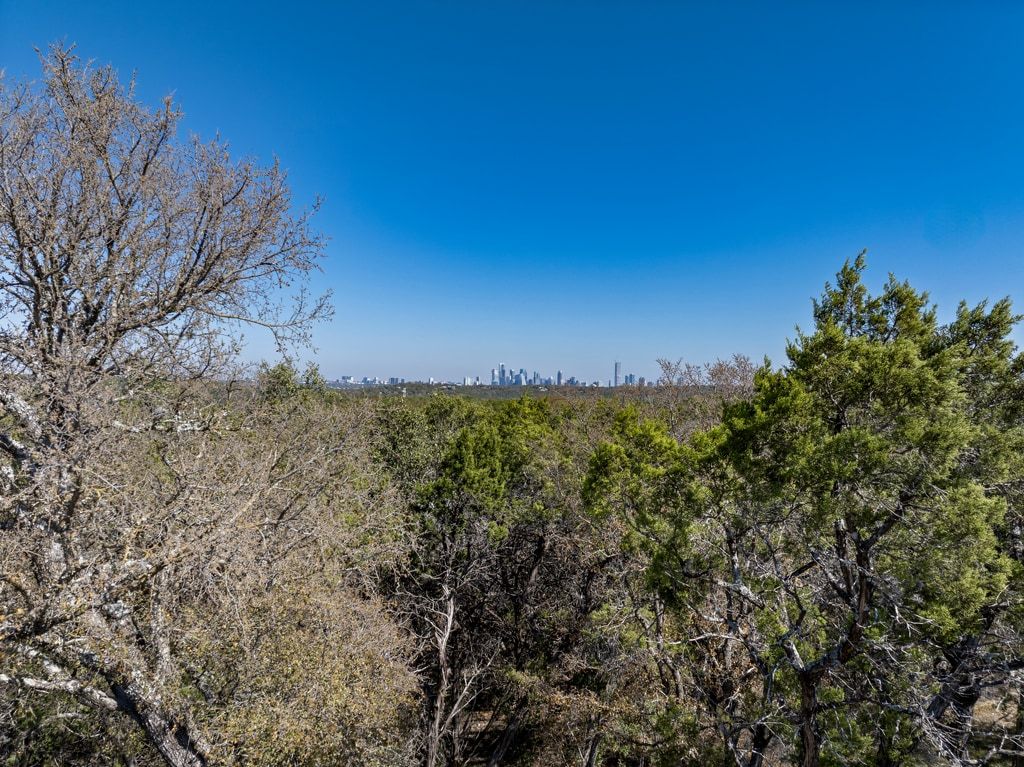 4416 Stearn's Lane Austin, TX 78735 - Photo 9 of 32 a view of a large tree with a tree in the background