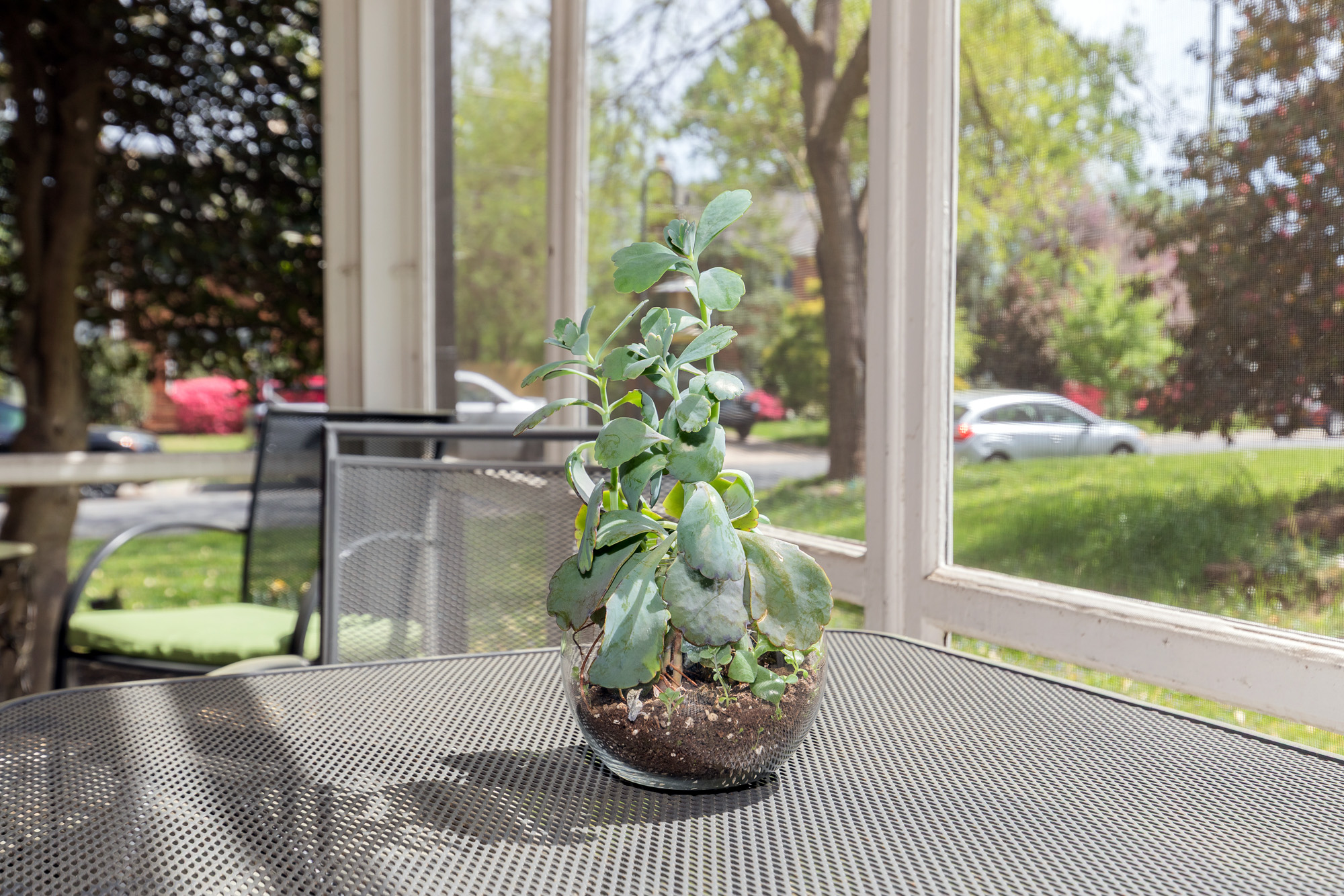 9512 Saybrook Avenue Silver Spring, MD 20901 - Photo 32 of 37