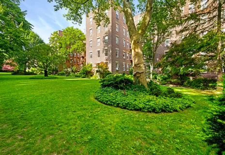a view of a large garden