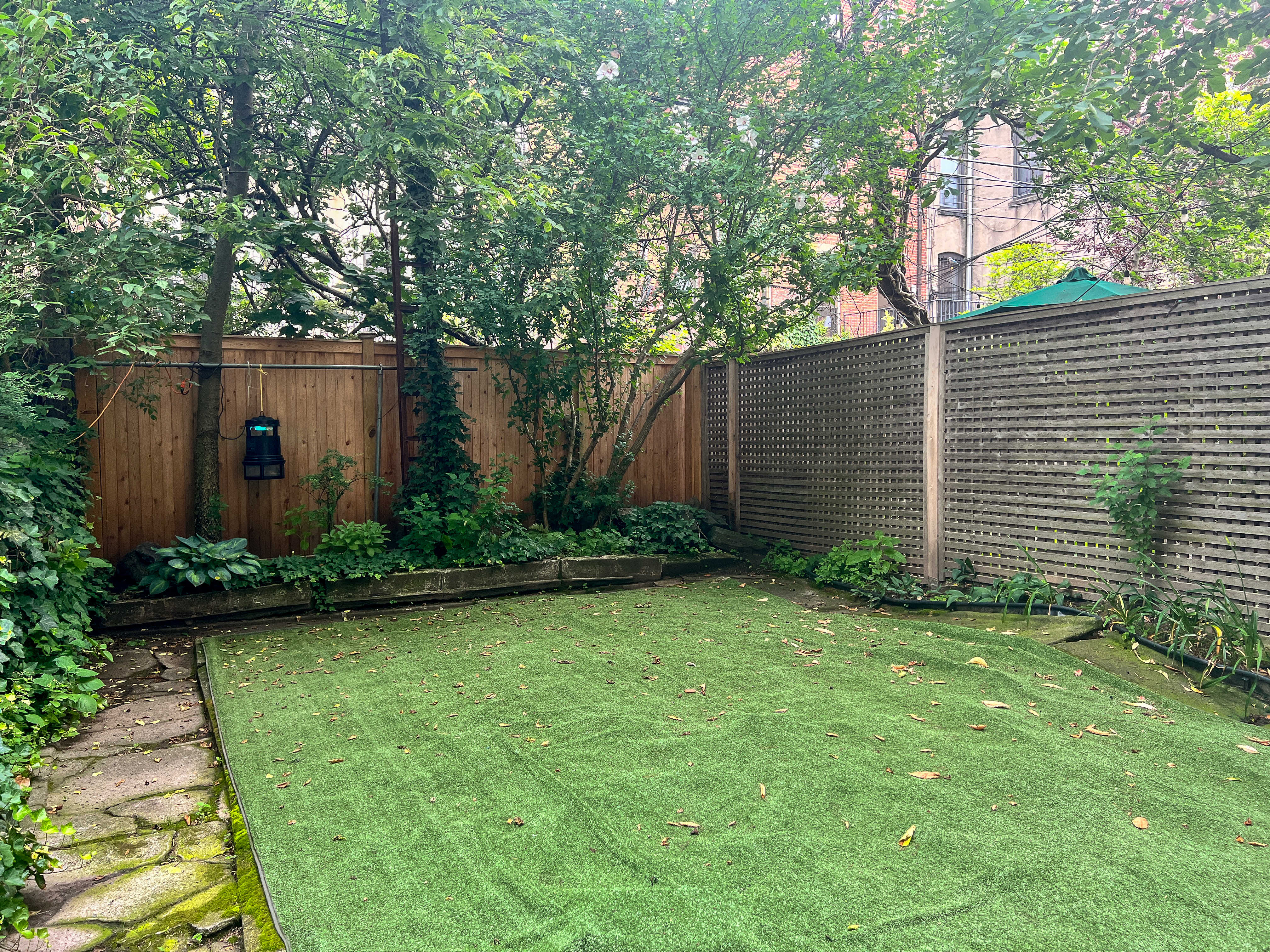 a view of a backyard with plants and large tree