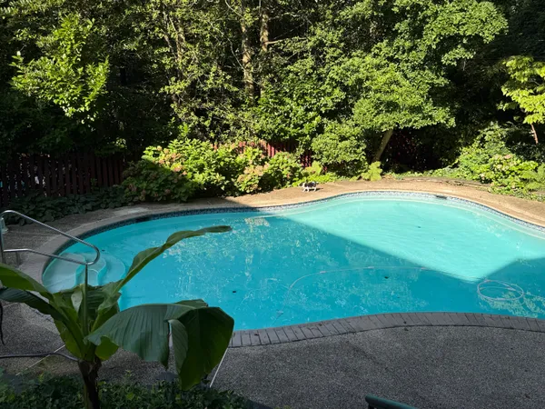 a view of a garden