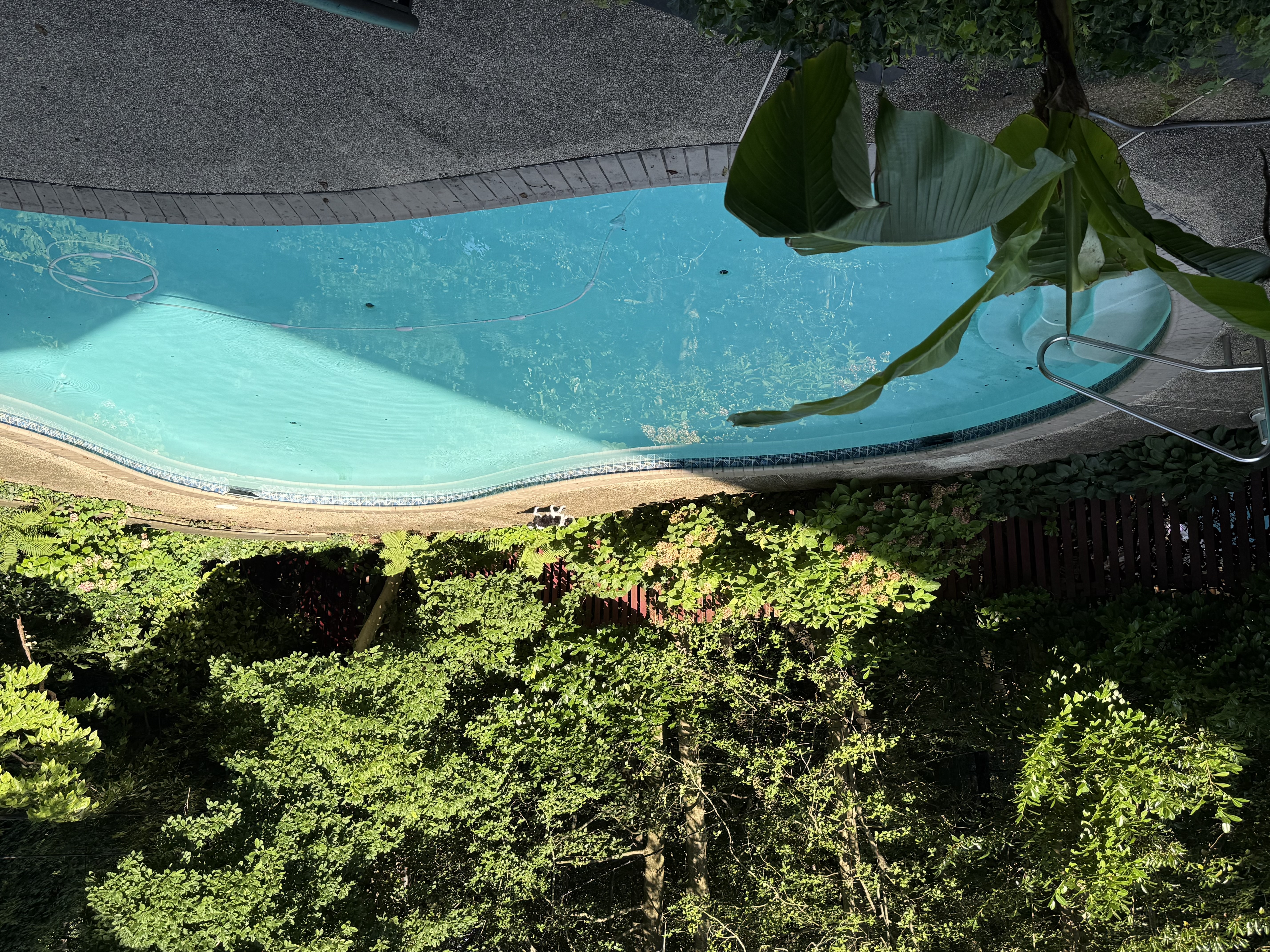 5344 Falmouth Road Bethesda, MD 20816 - Photo 10 of 17