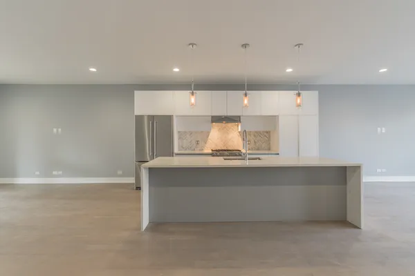 $739,900 | 731 West 17th Street, Unit 1E, Chicago, IL 60616