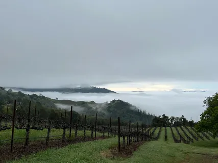 $1,795,000 | 31920 Pine Mountain Road, Cloverdale, CA 95425
