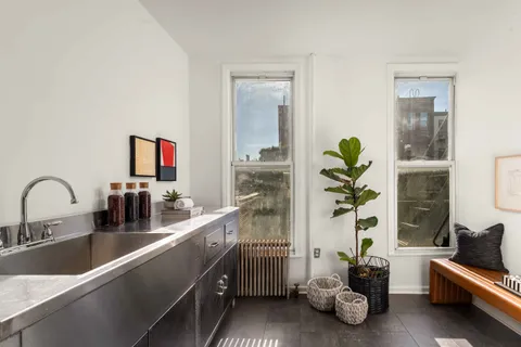 a kitchen with a sink and a potted plant
