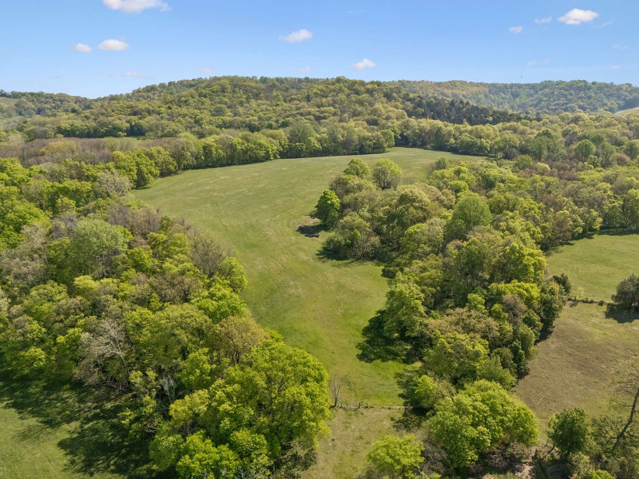 Undisclosed Address College Grove, TN 37046 - Photo 20 of 24