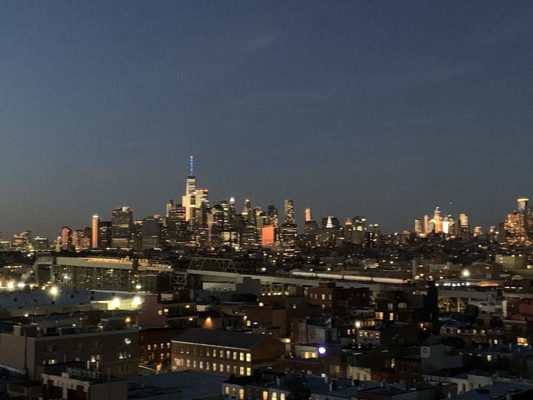 548 4th Avenue, Unit 8A Brooklyn, NY 11215 - Photo 14 of 21 a city view