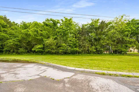 a view of a yard with a large trees