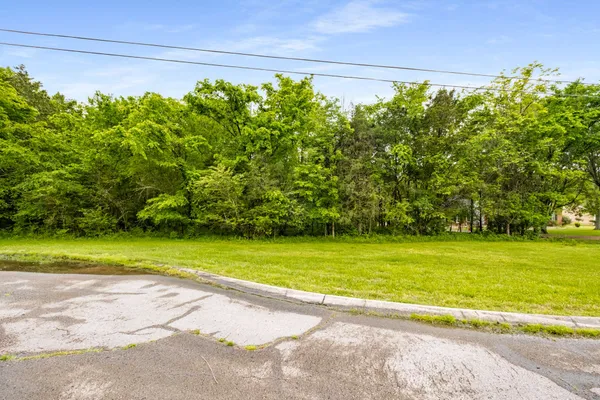 a view of a yard with a large trees