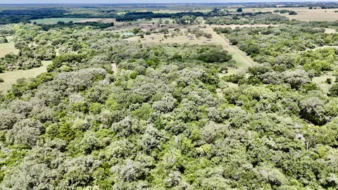 view of a yard with wooden floor