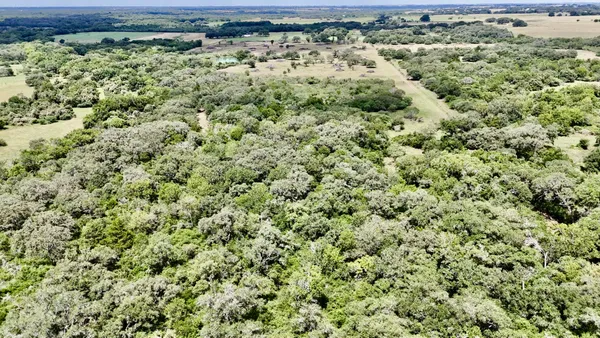 view of a yard with wooden floor