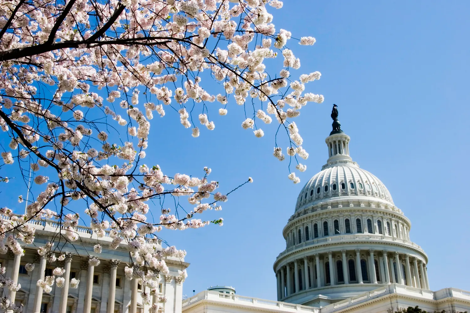 $829,000 | 1019 South Carolina Avenue Southeast, Washington, DC 20003