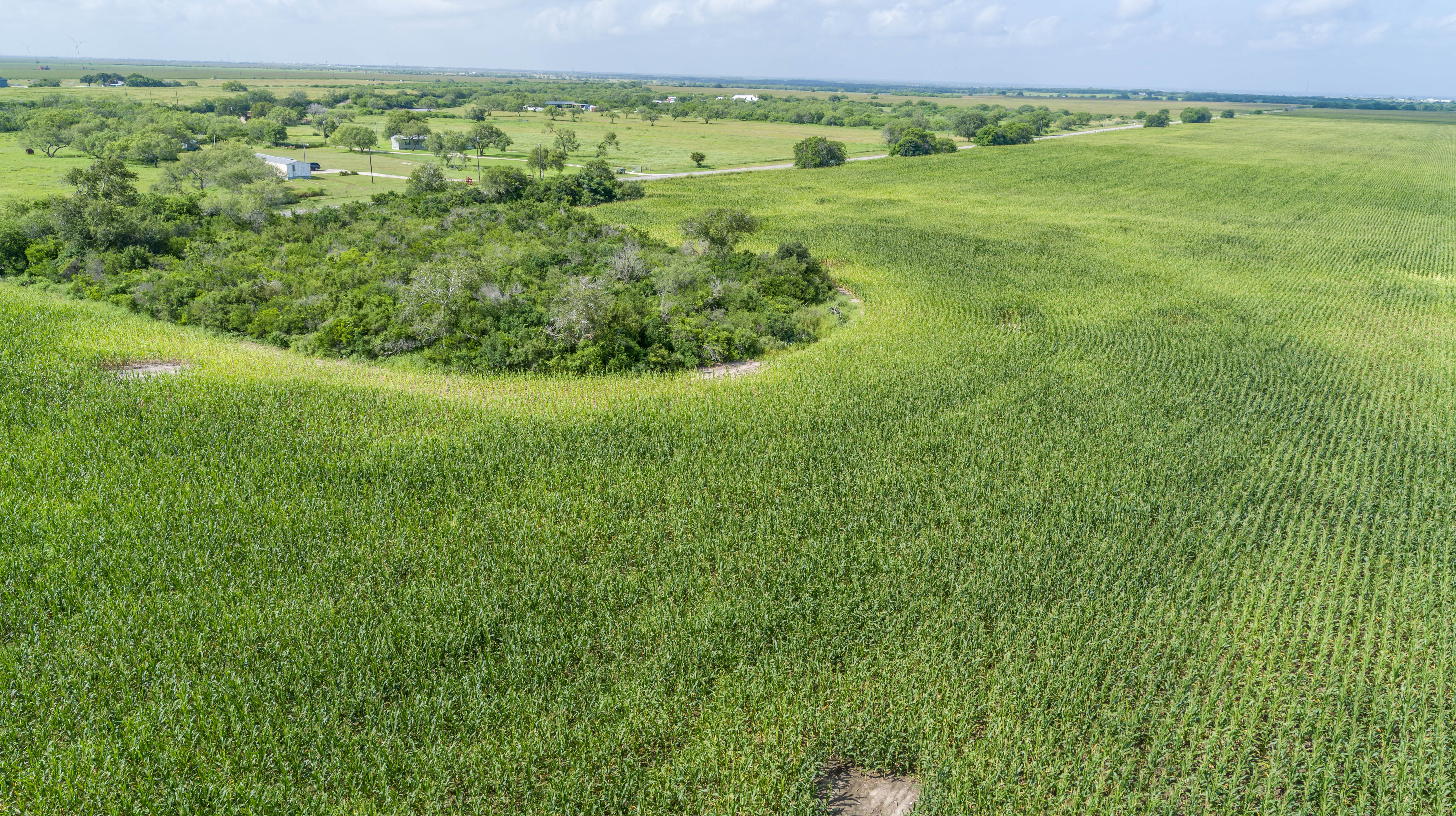 0 Fm 888 Mathis, TX 78368 - Photo 8 of 18