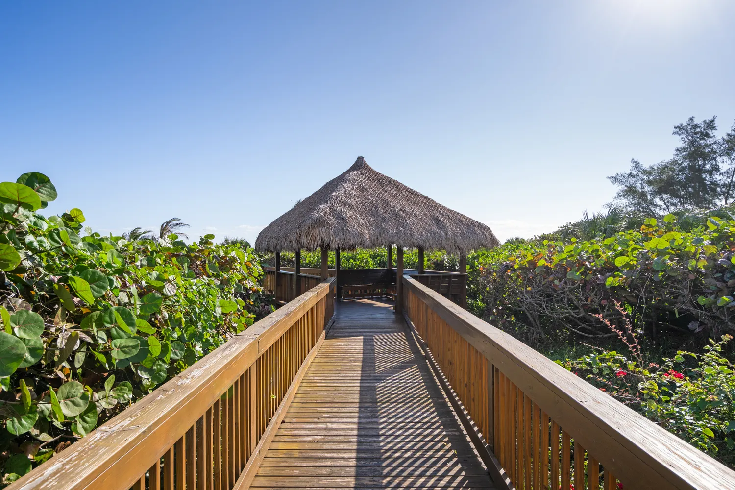 a view of balcony and yard