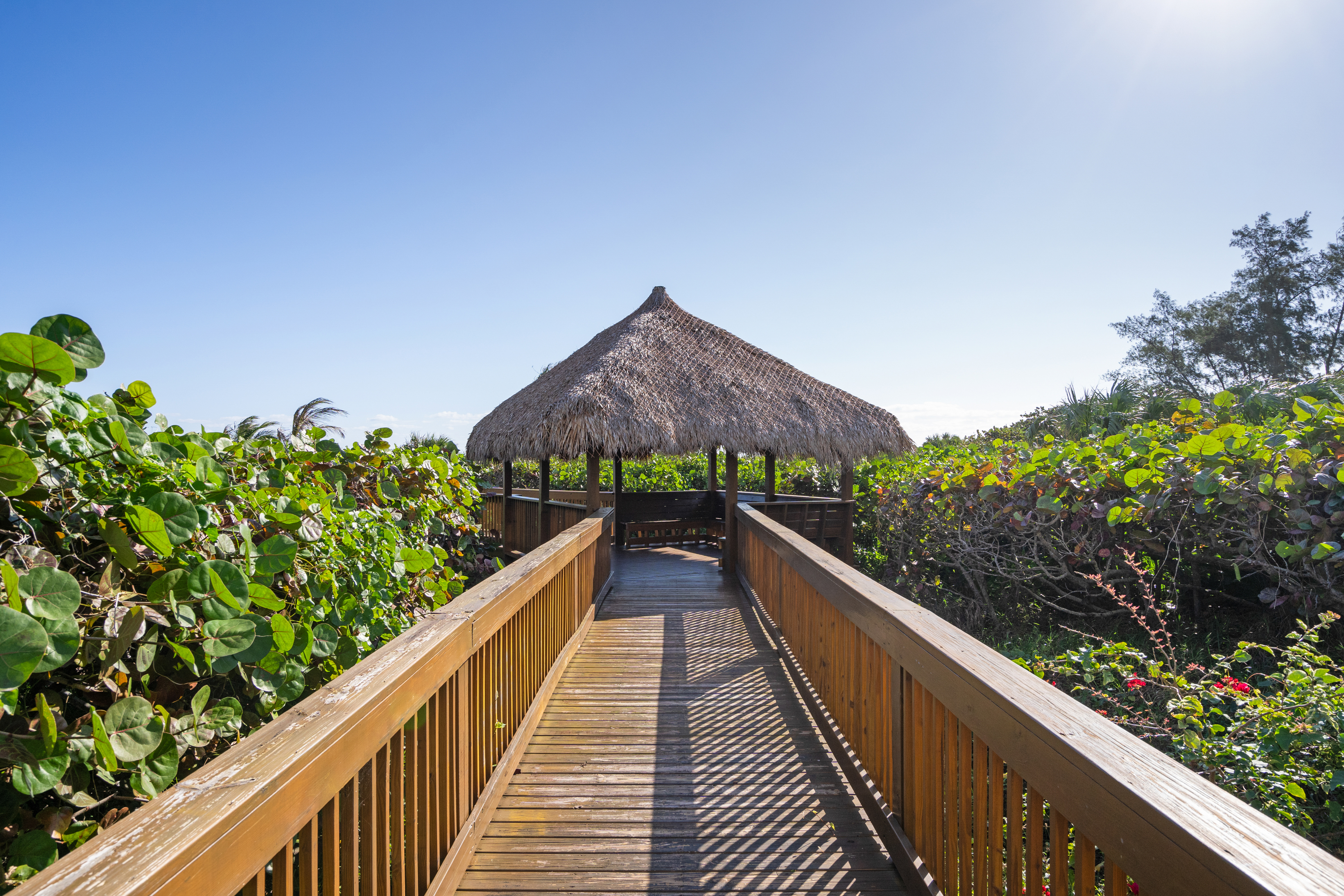 2700 North Highway A1a, Unit 207 Fort Pierce, FL 34949 - Photo 33 of 36 a view of balcony and yard