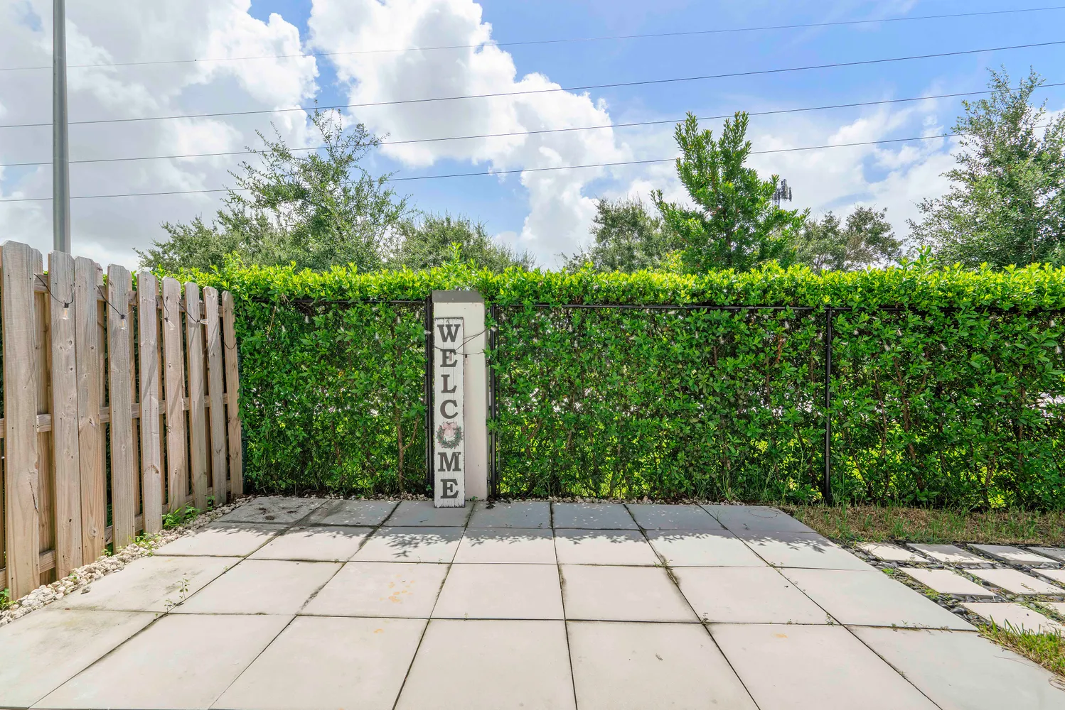 a view of backyard with potted plants