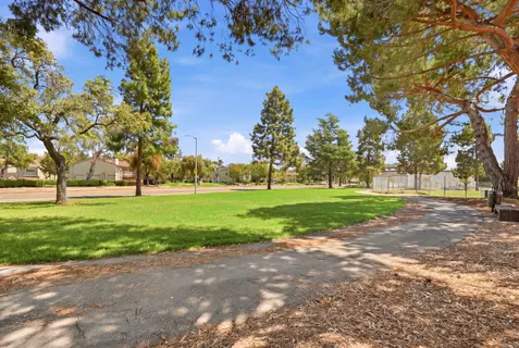 a view of a park