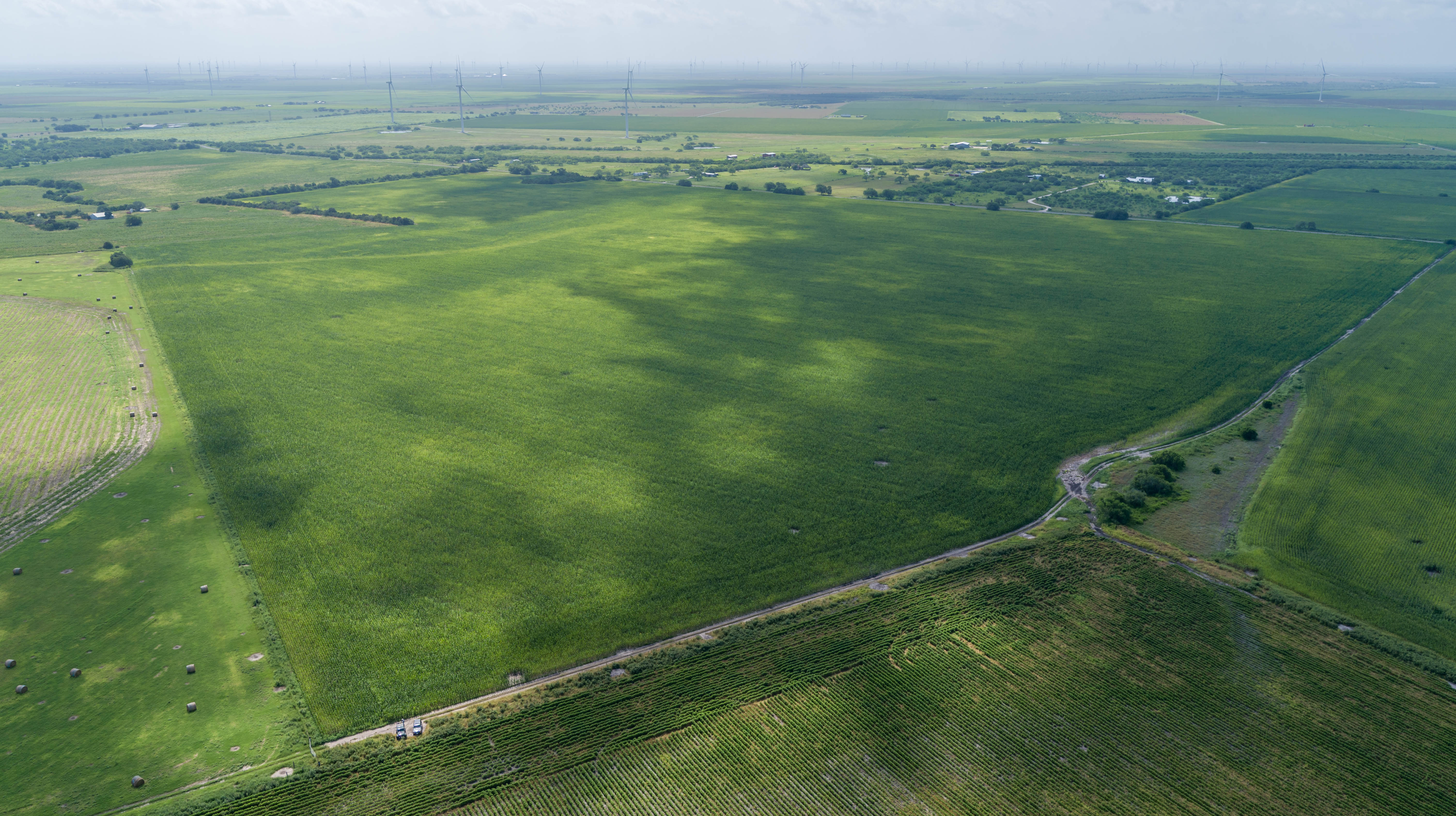 0 Fm 888 Mathis, TX 78368 - Photo 11 of 18
