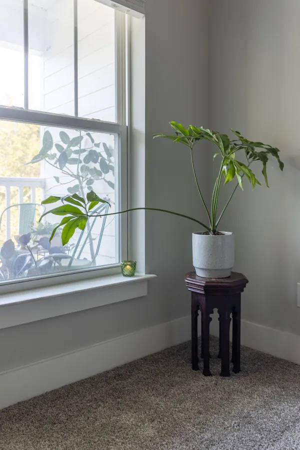 a view of a window with a flower in a window