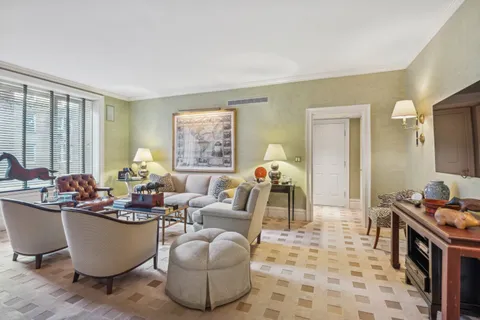 a living room with furniture and a potted plant