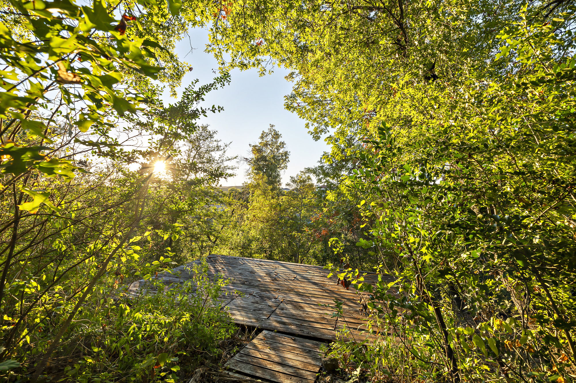 1605 The High Road Austin, TX 78746 - Photo 22 of 45 a view of outdoor space and yard