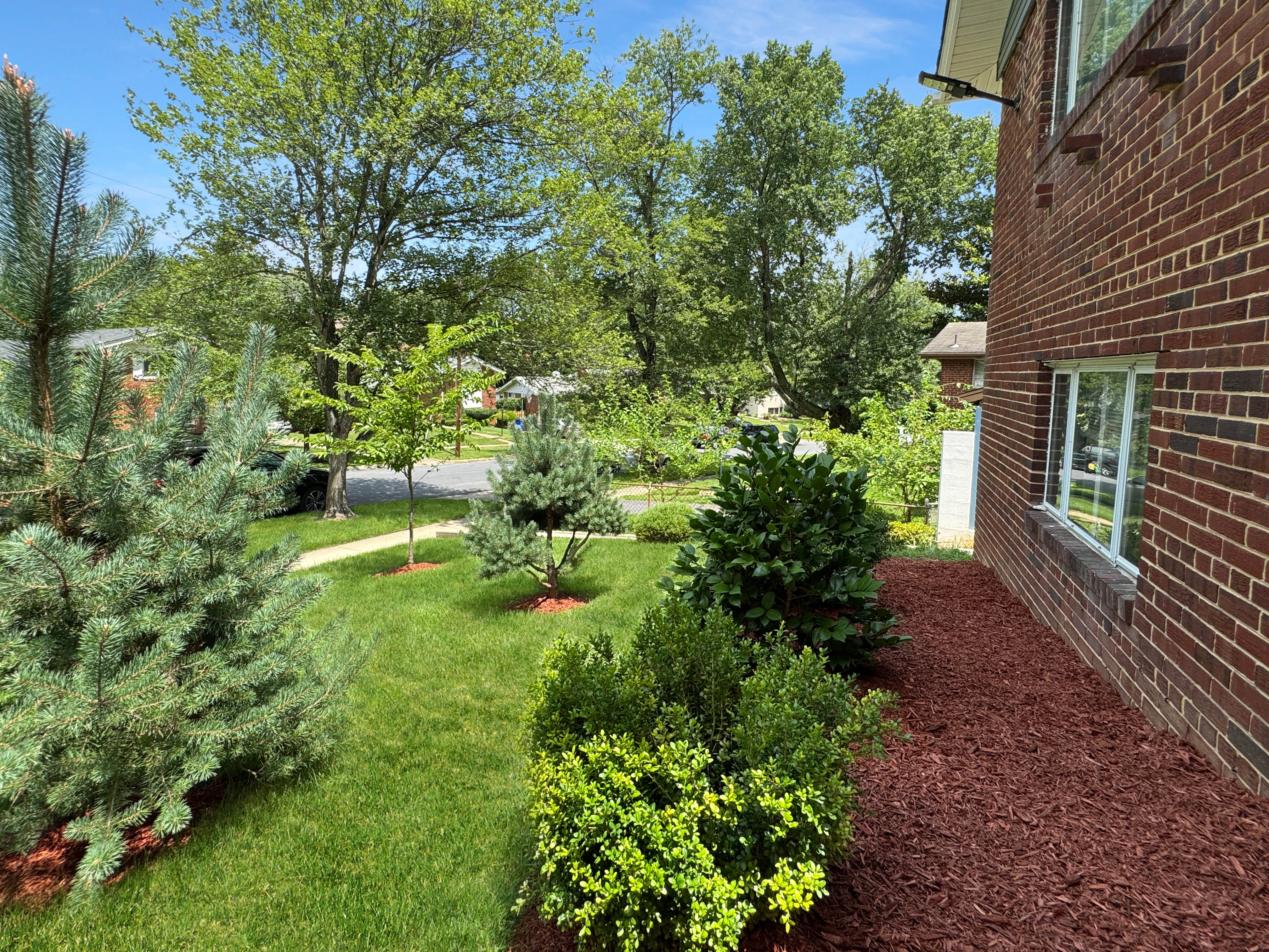 2408 Lillian Drive Silver Spring, MD 20902 - Photo 3 of 40 a backyard of a house with lots of green space