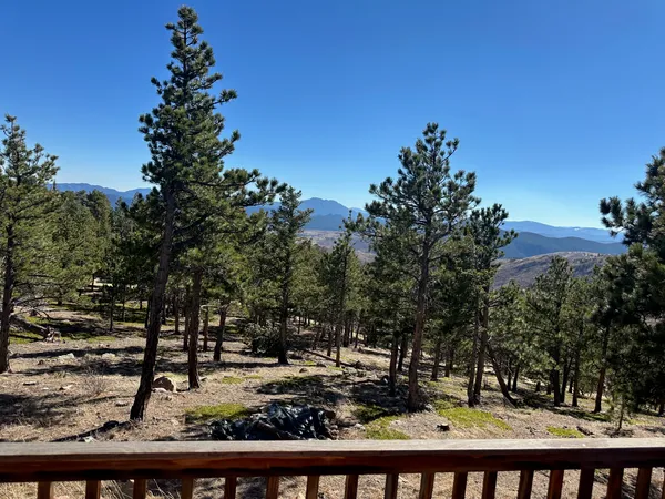 a view of a park with large trees